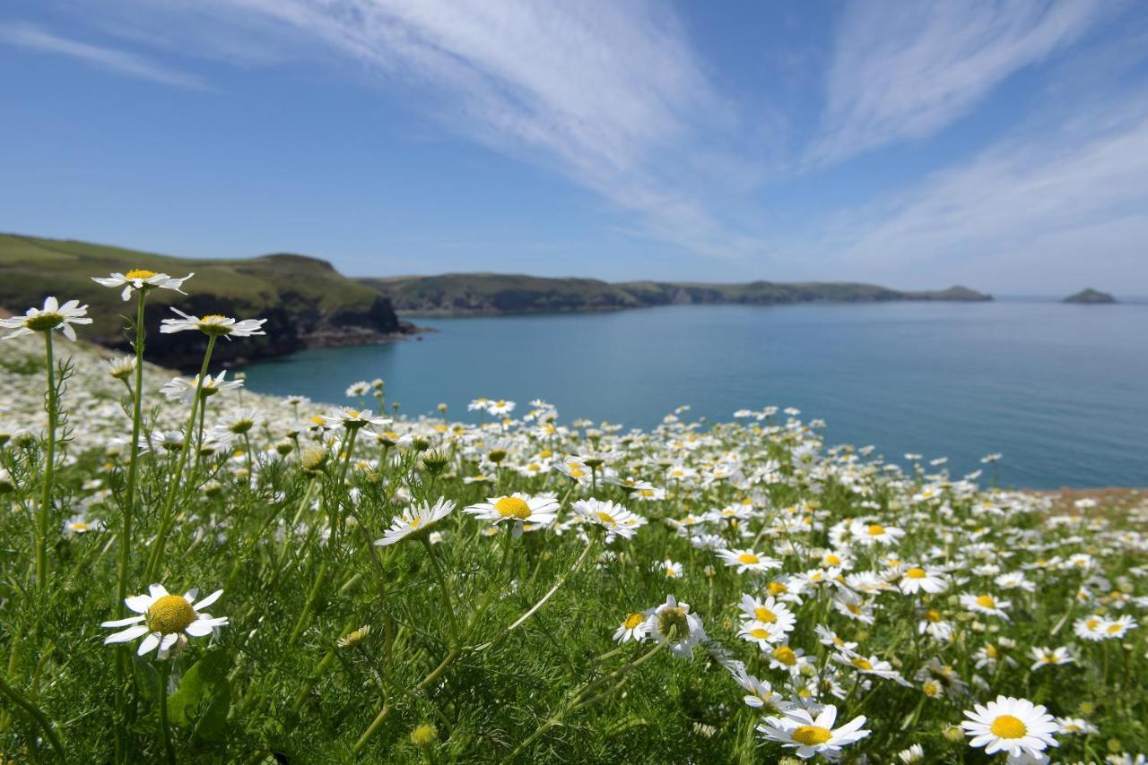 Tranquil Cornish Retreat Close To Port Isaac Beaches And Moor Bodmin Bagian luar foto