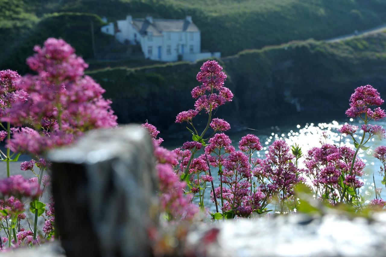 Tranquil Cornish Retreat Close To Port Isaac Beaches And Moor Bodmin Bagian luar foto